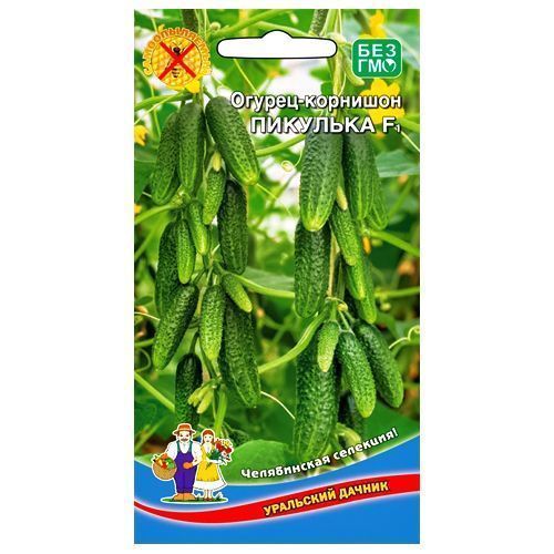 ������ ������ ������ �������� �������� F1 ��������� ������   ����