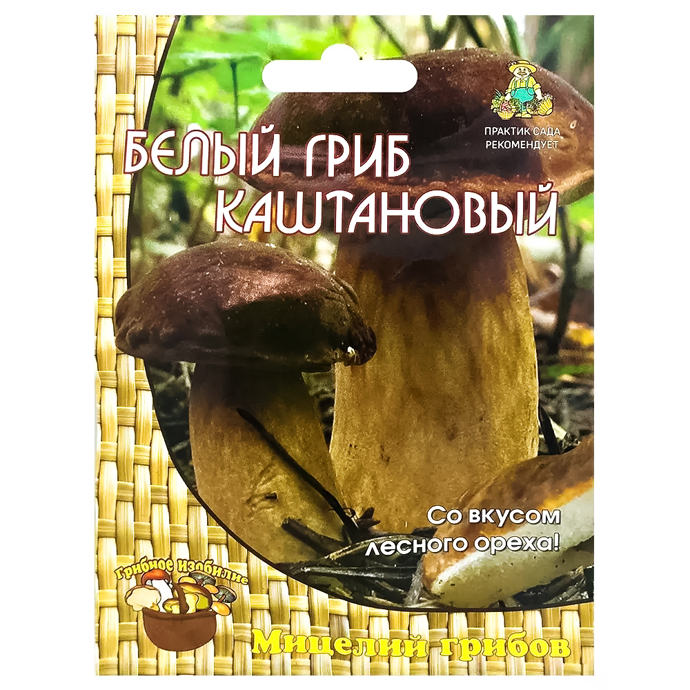 ������ ������ ����� ���� ���������� �����   ����