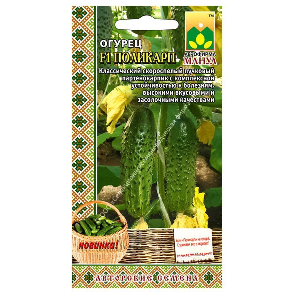 ������ ������ ������ �������� F1 �����   ����