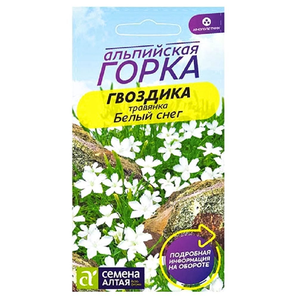 ������ ������ �������� �������� ����� ���� ������ �����   ����