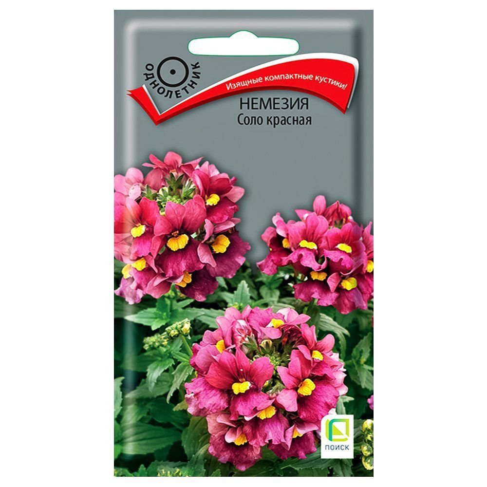 ������ ������ ������� ���� ������� �����   ����