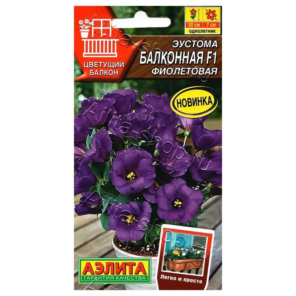 ������ ������ ������� ��������� ���������� F1 ������   ����