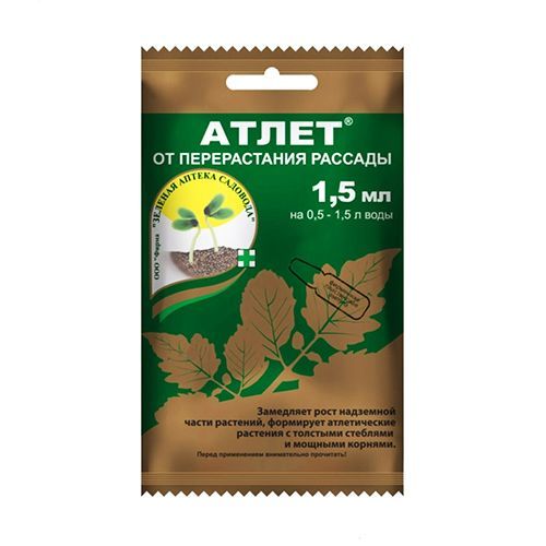 ������ ������ �����, ��������� ����� 1,5 ��   ����