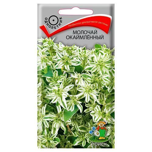 ������ ������ ������� ����������� �����   ����