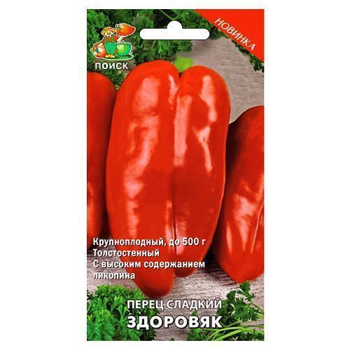 ������ ������ ����� ������� �������� �����   ����