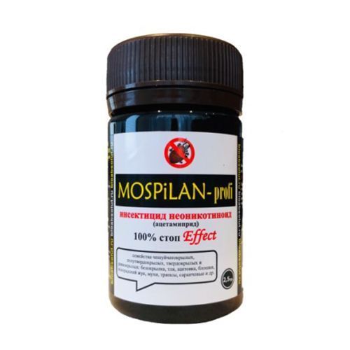 ������ ������ ��������, �� ��������� ���������� 2,5 �   ����