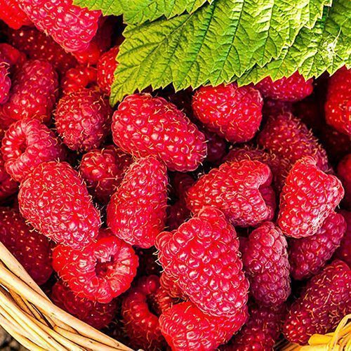 ������ ������ ������ ������������ ����� ��������   ����