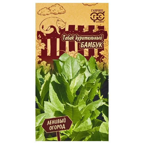 ������ ������ ����� ����������� ������ ������   ����