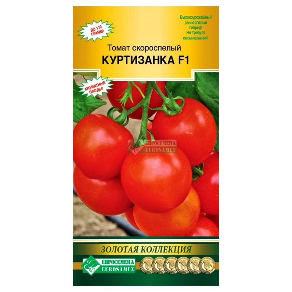 ������ ������ ����� ���������� F1 ����������   ����