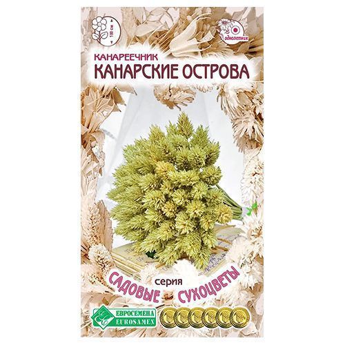 ������ ������ ����������� ��������� ������� ����������   ����