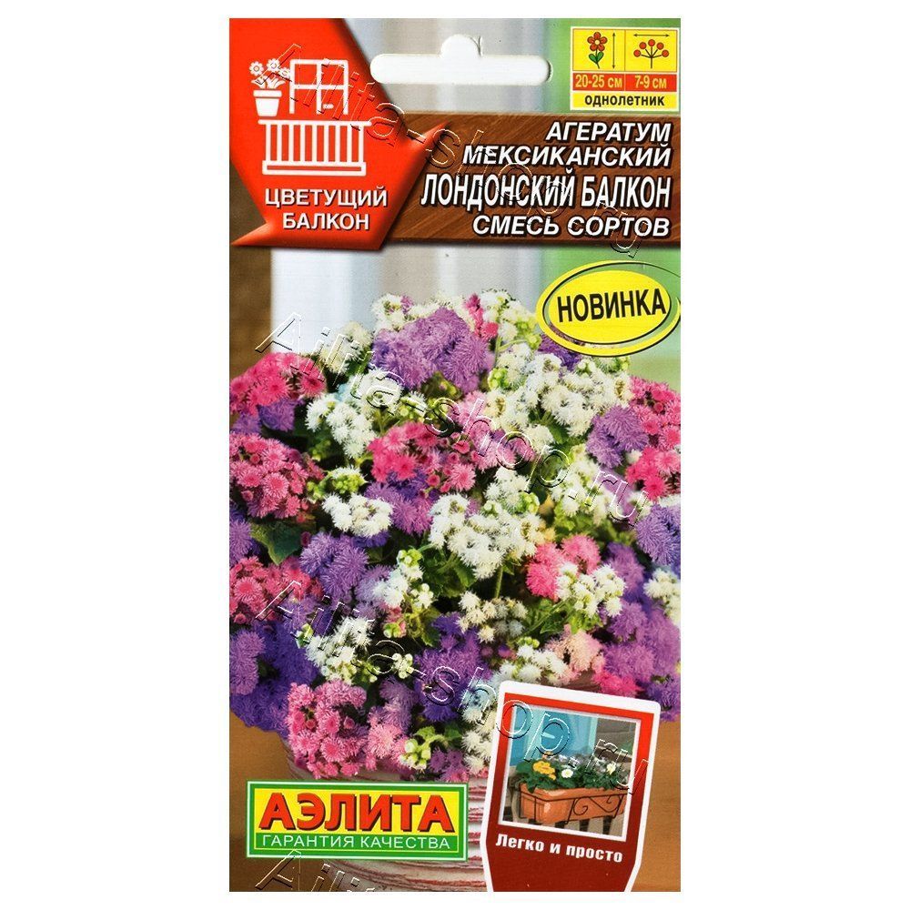 ������ ������ �������� ���������� ������, ����� ������� ������   ����