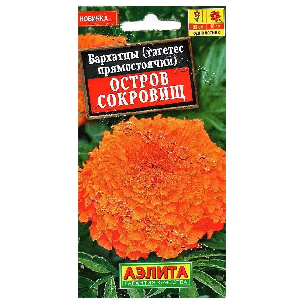 ������ ������ �������� ������������ ������ �������� ������   ����