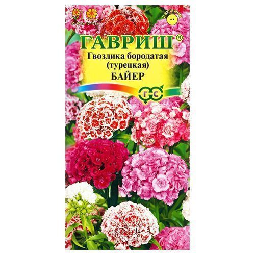 ������ ������ �������� ��������� �����, ����� ������� ������   ����