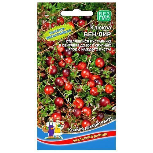 ������ ������ ������ ��� ��� ��������� ������   ����