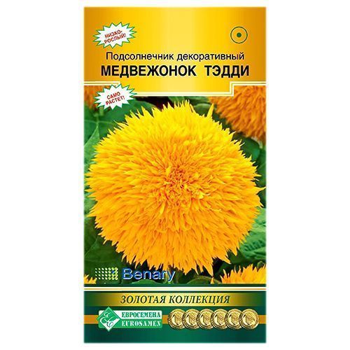 ������ ������ ������������ ���������� ����� ����������   ����