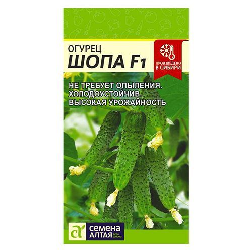 ������ ������ ������ ���� F1 ������ �����   ����