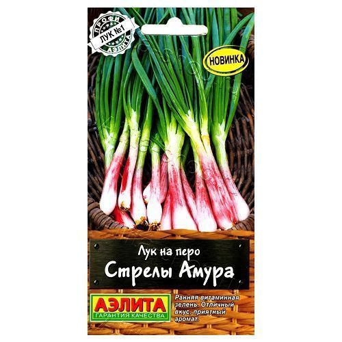 ������ ������ ��� �� ���� ������ ����� ������   ����