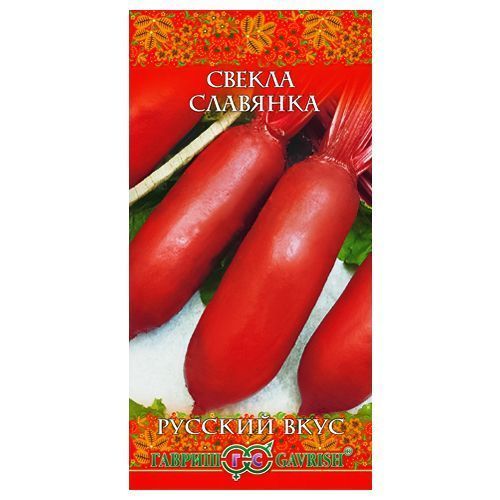 ������ ������ ������ �������� ������   ����