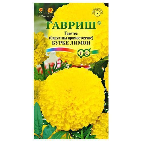 ������ ������ �������� ������������ ����� ����� ������   ����