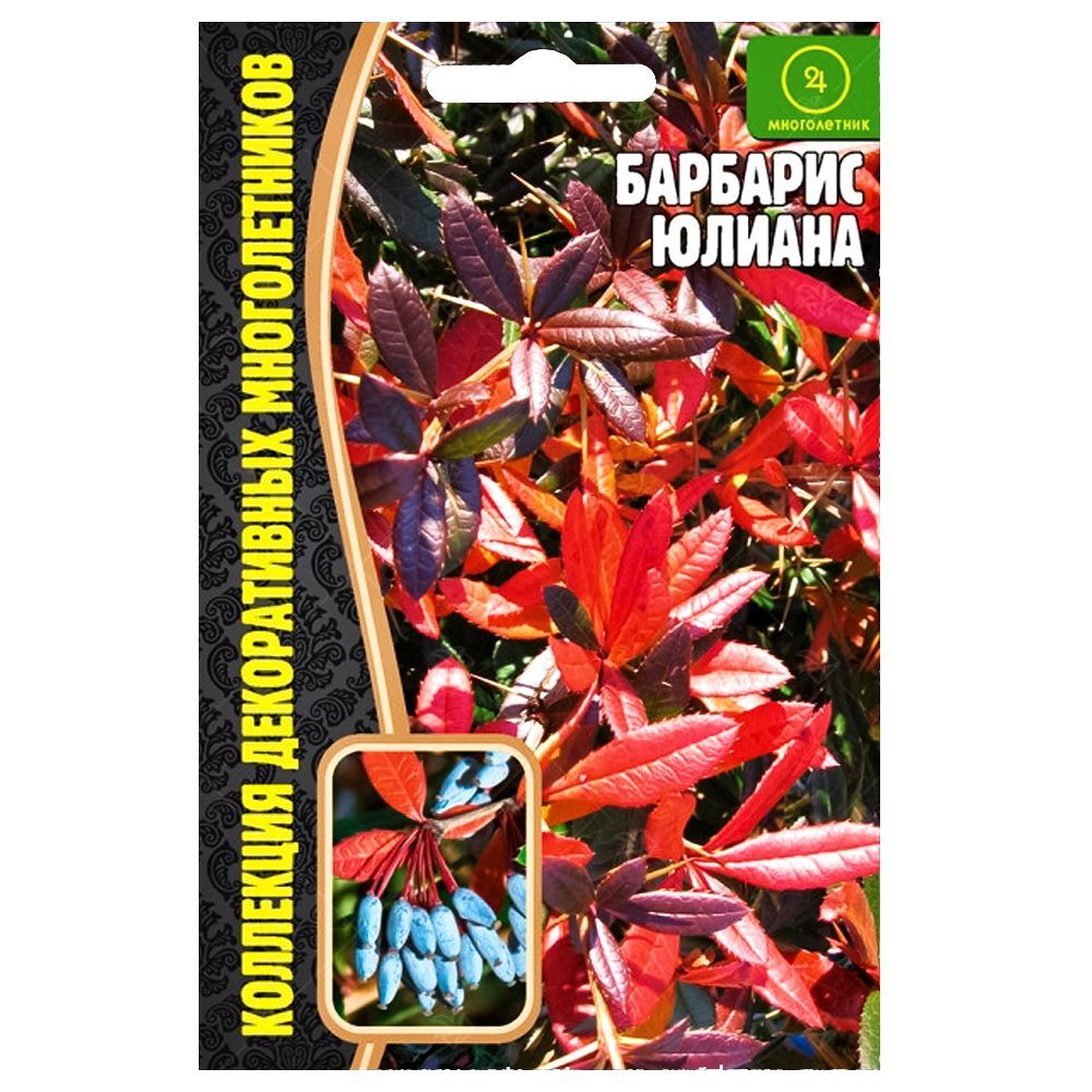 ������ ������ �������� ������ ������ ������   ����