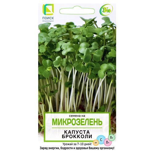 ������ ������ ����������� ������� �������� �����   ����