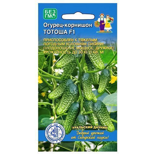 ������ ������ ������ �������� ������ ��������� ������   ����