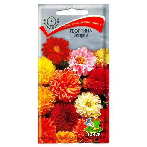 ������ ������ �������� �������, ����� ������� �����   ����