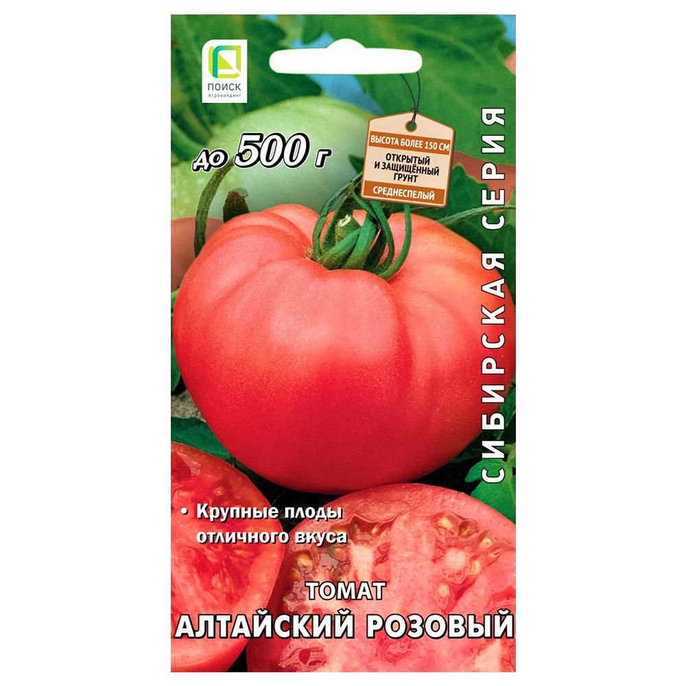 ������ ������ ����� ��������� ������� �����   ����