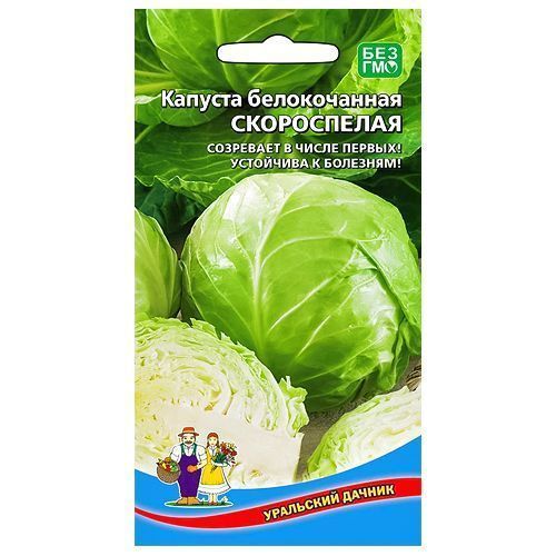 ������ ������ ������� ������������ ����������� ��������� ������   ����