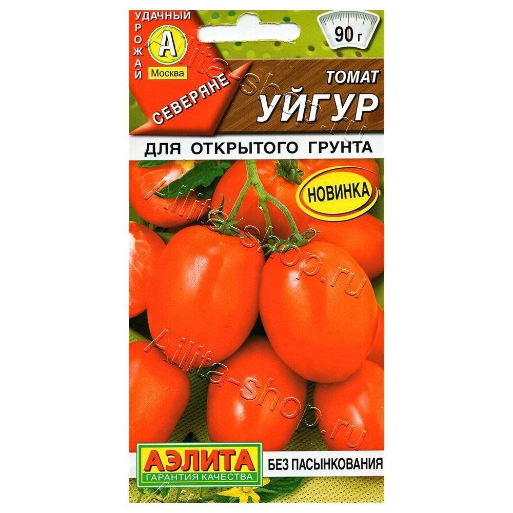 ������ ������ ����� ��������������� ����� ������   ����