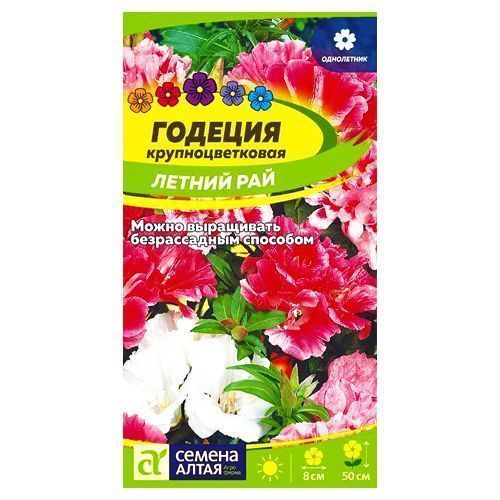 ������ ������ ������� ������ ���, ����� ������� ������ �����   ����