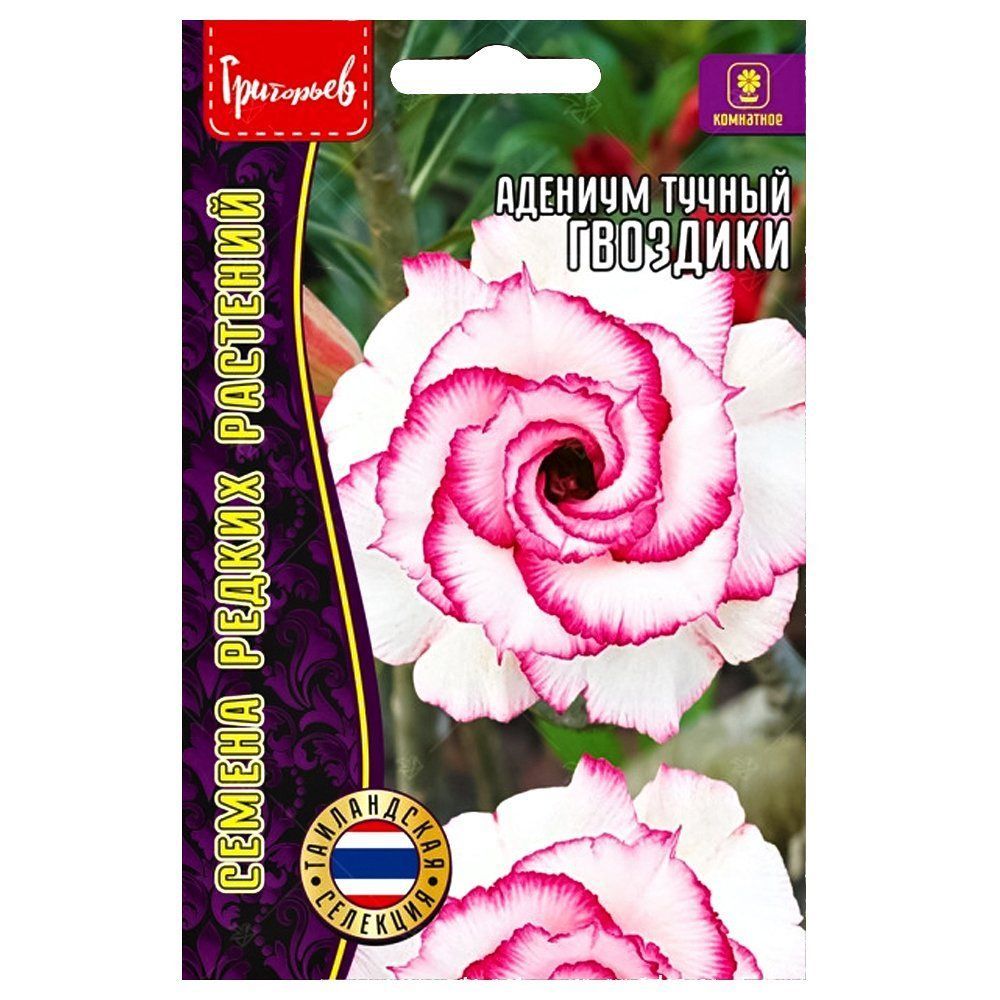 ������ ������ ������� �������� ������ ������   ����