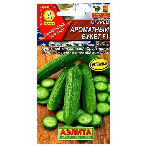 ������ ������ ������ ��������� ����� F1 ������   ����