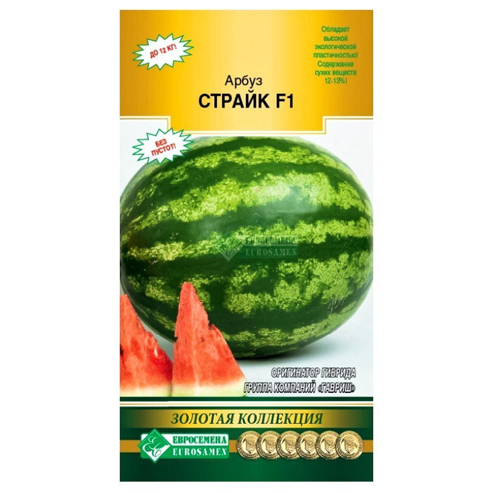 ������ ������ ����� ������ F1 ����������   ����