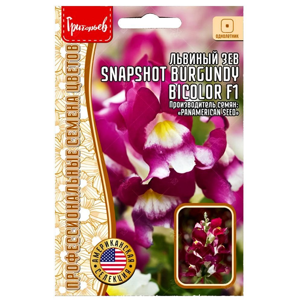    Snapshot Burgundy Bicolor F1      -     , -, 