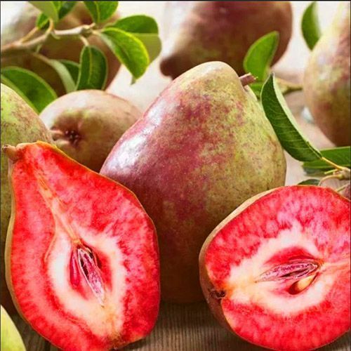 ������ ������ ����� ����������� ��� �������   ����