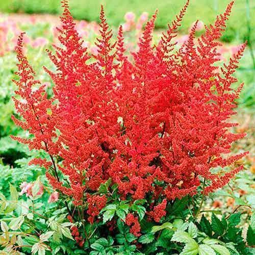 ������ ������ �������� �������� �������   ����