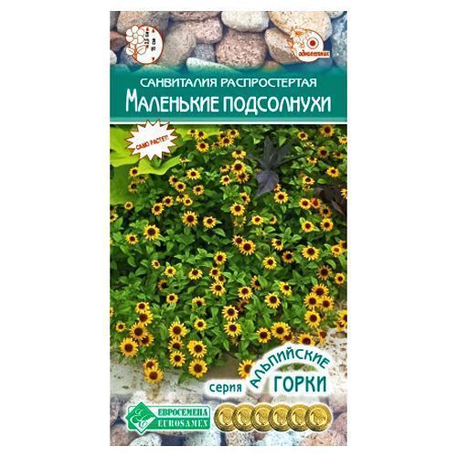 ������ ������ ���������� ��������� ���������� ����������   ����