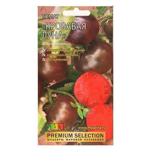 ������ ������ ����� �������� ���� ����������� ������ �.�.   ����