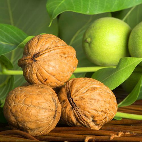 ������ ������ ���� ������� �����   ����