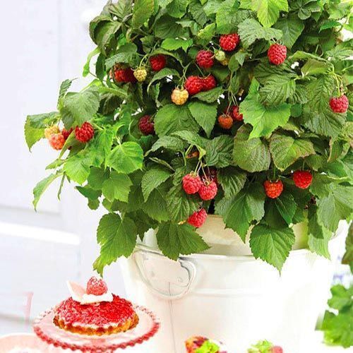 ������ ������ ������ ���������� ���� �����   ����