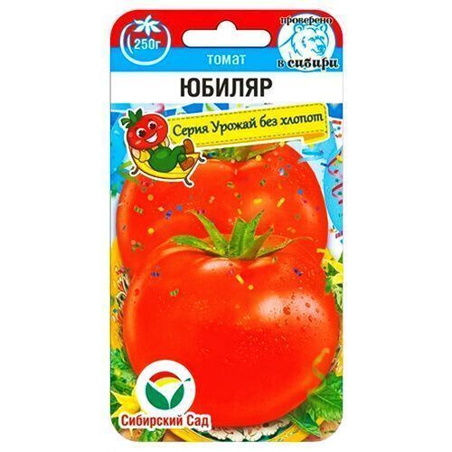 ������ ������ ����� ������ ��������� ���   ����