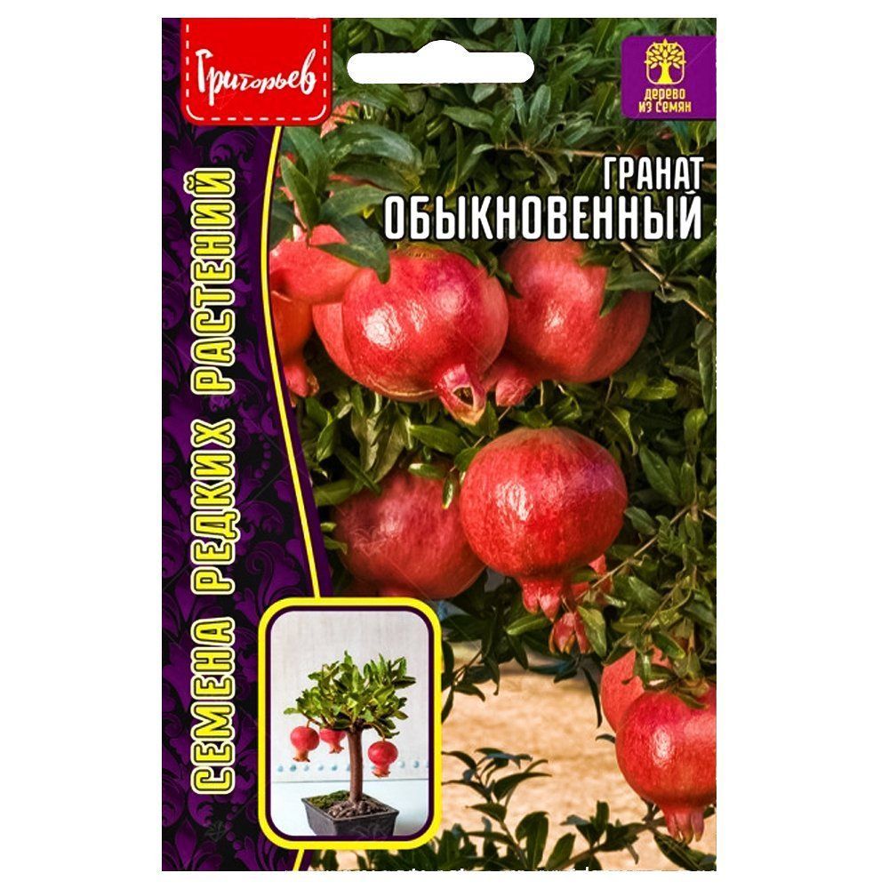 ������ ������ ������ ������������ ������ ������   ����