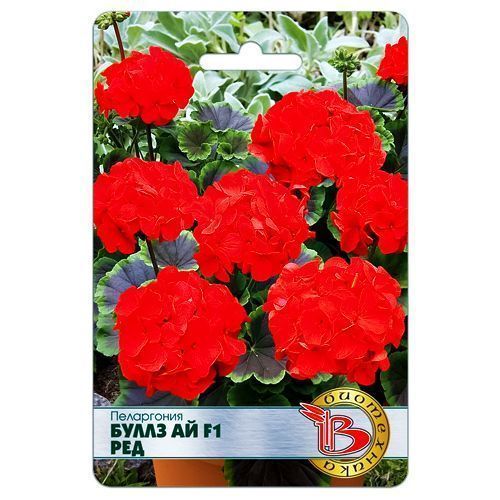 ������ ������ ���������� (������) ����� �� F1 ��� ����������   ����