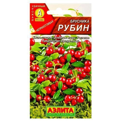 ������ ������ �������� �����, ������ ������   ����