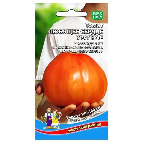 ������ ������ ����� ������� ������ ������� ��������� ������   ����