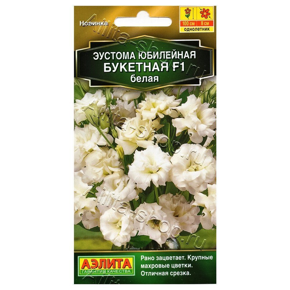 ������ ������ ������� ��������� �������� ����� F1 ������   ����