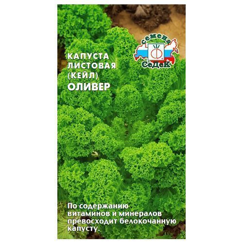 ������ ������ ������� �������� ������ �����   ����