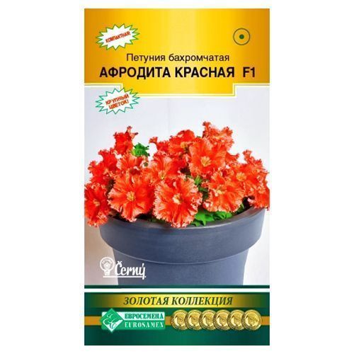 ������ ������ ������� ����������� �������� ������� F1 ����������   ����