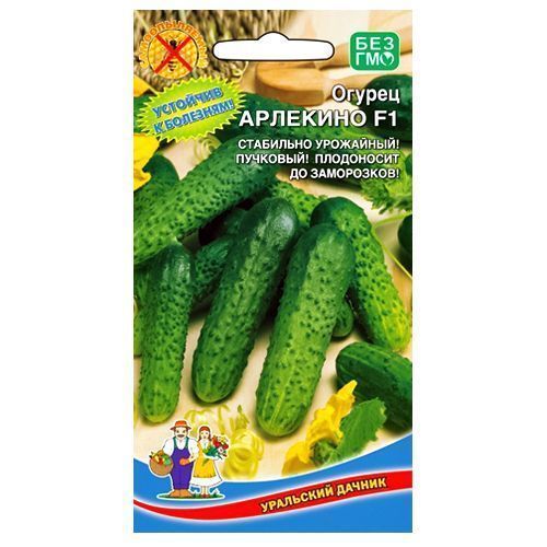 ������ ������ ������ �������� F1 ��������� ������   ����